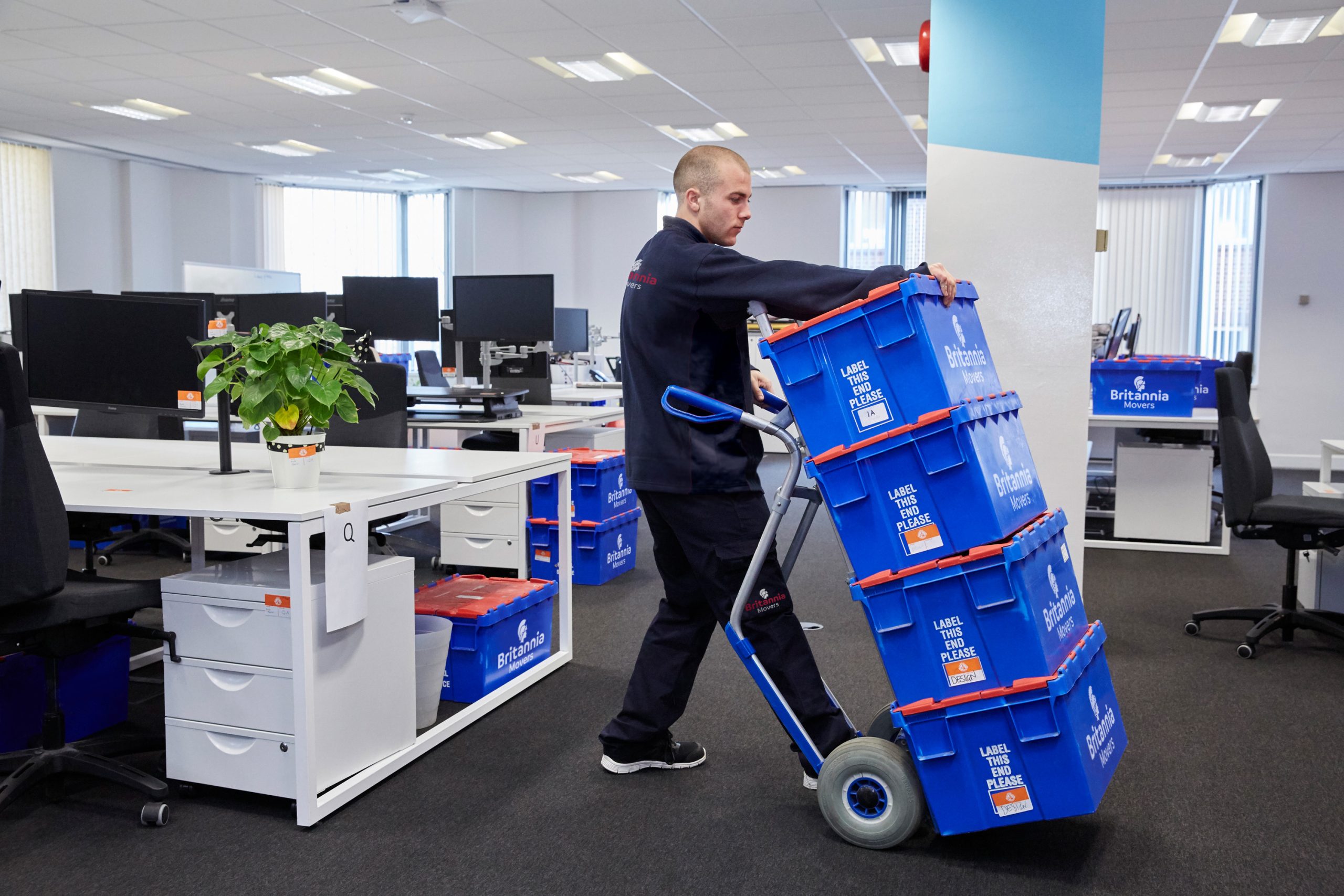 A man in a uniform uses a hand truck to move stacked blue plastic crates labeled "Large Moving Box" through a modern office with desks, computers, chairs, and a potted plant. The office has bright overhead lighting and large windows with blinds.