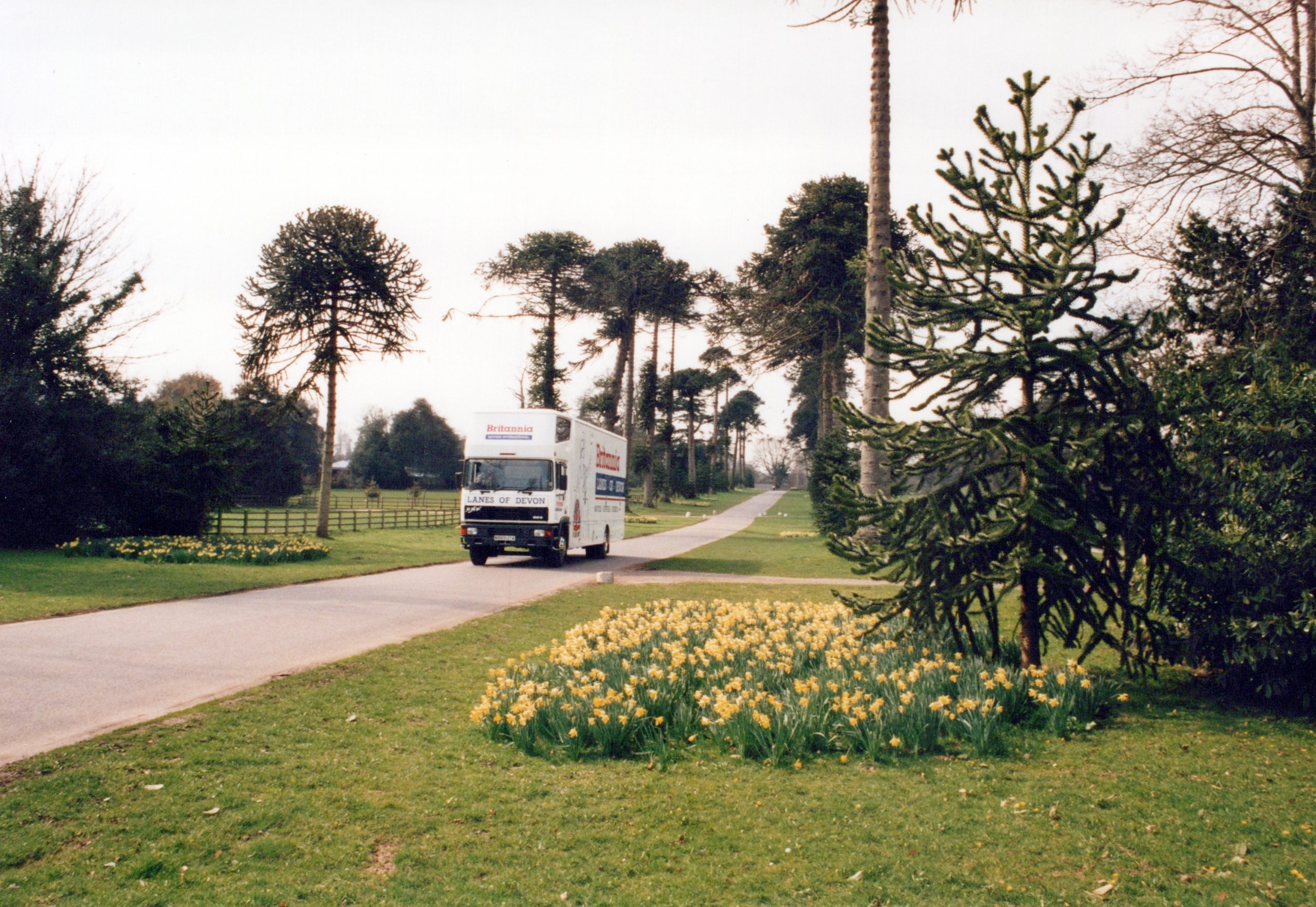 A moving truck drives down a paved road bordered by grass and blooming yellow flowers on one side and large, leafless trees on the other. The background shows a park-like setting with more trees and an overcast sky.